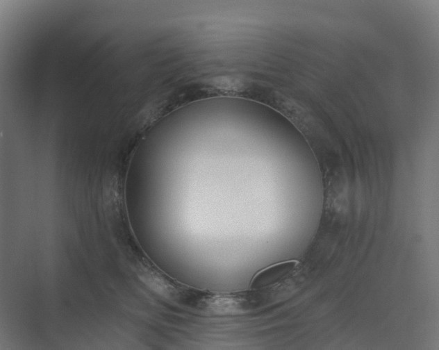 X0000075370518200609151706