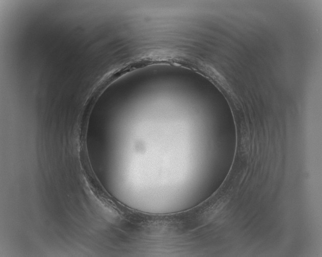 X0000075370530200609151705