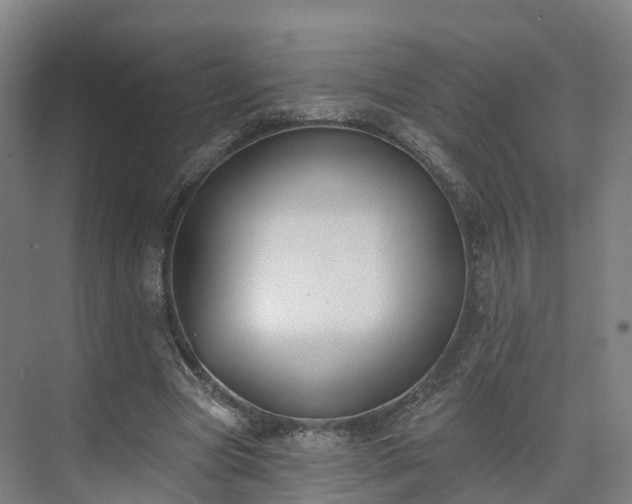 X0000075370537200609151705