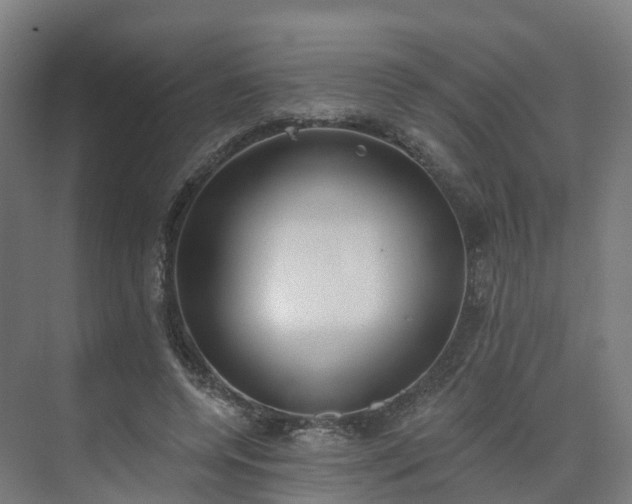 X0000075370544200609151705