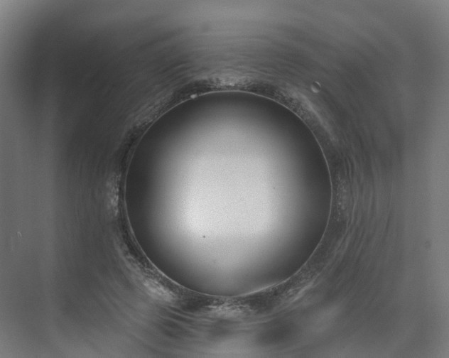 X0000075370545200609151705