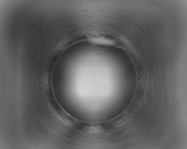 X0000075370548200609151705