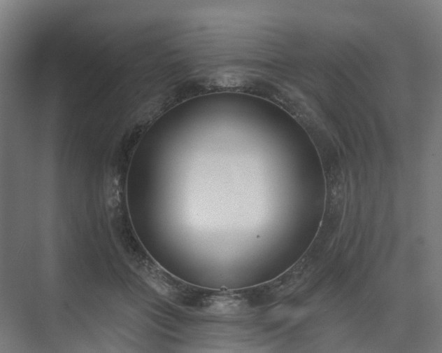 X0000075370555200609151705