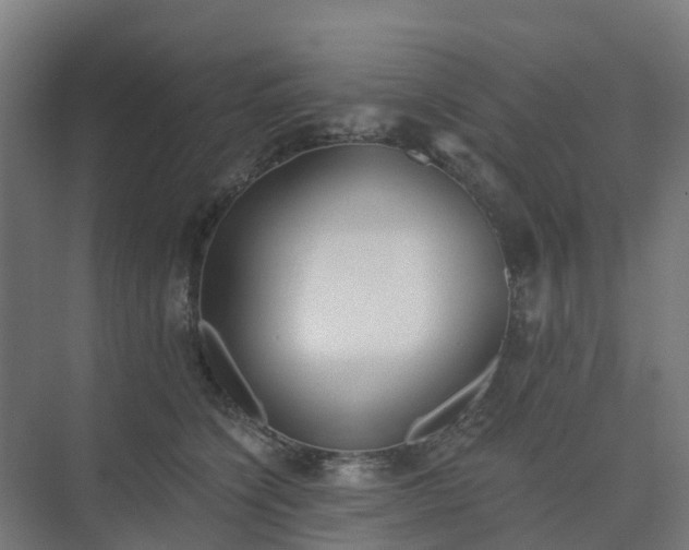 X0000075370564200609151705