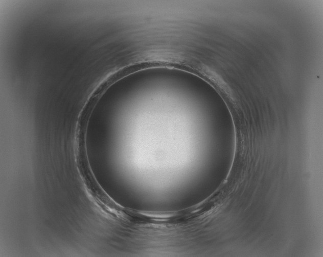 X0000075370580200609151705