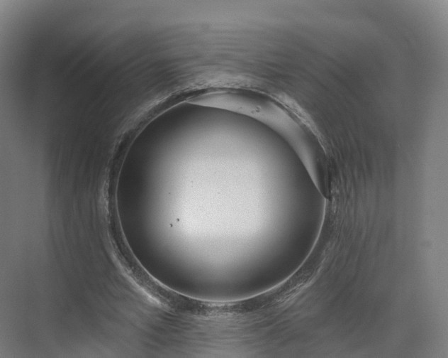 X0000075370581200609151705
