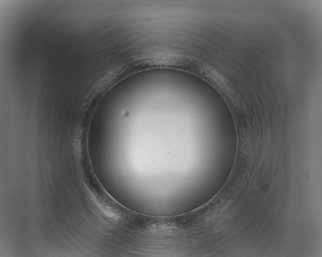 X0000075370586200609151705