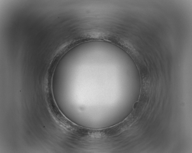 X0000075370587200609151705