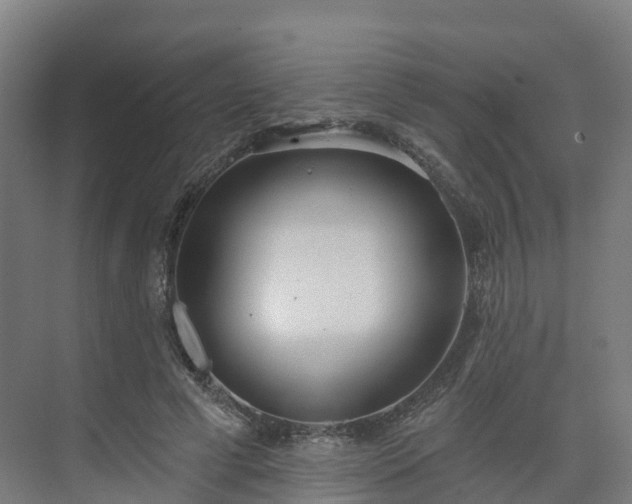 X0000075370593200609151705