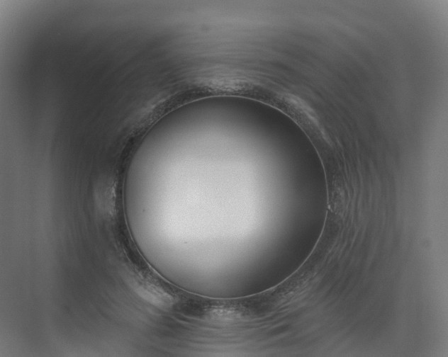 X0000075370596200609151705