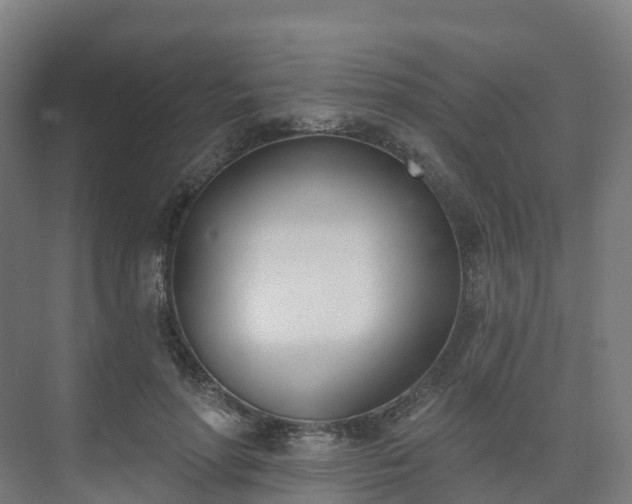 X0000075370598200609151705