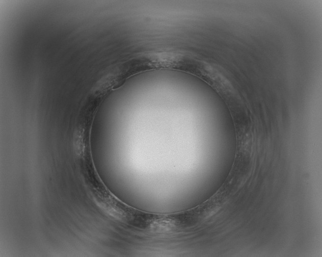 X0000075370599200609151704