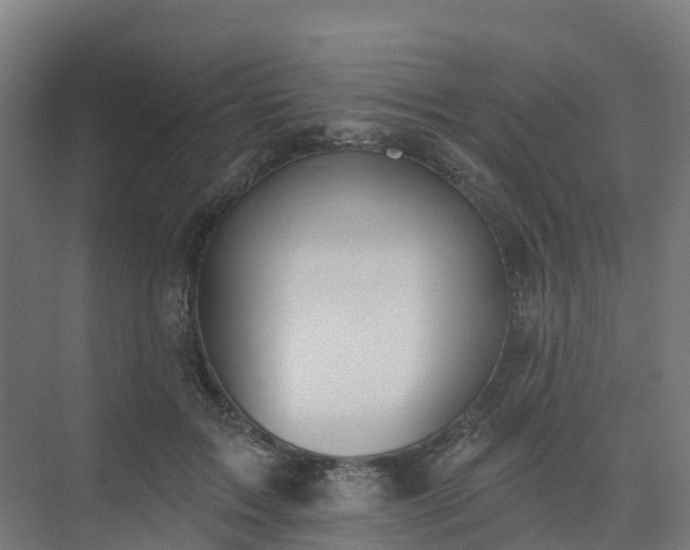 X0000075370603200609151704