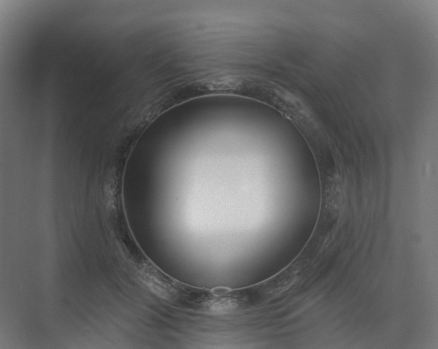 X0000075370604200609151704