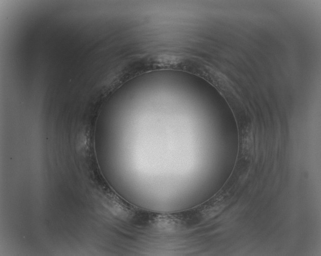 X0000075370608200609151704