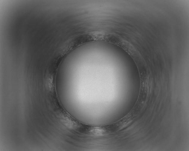 X0000075370610200609151704