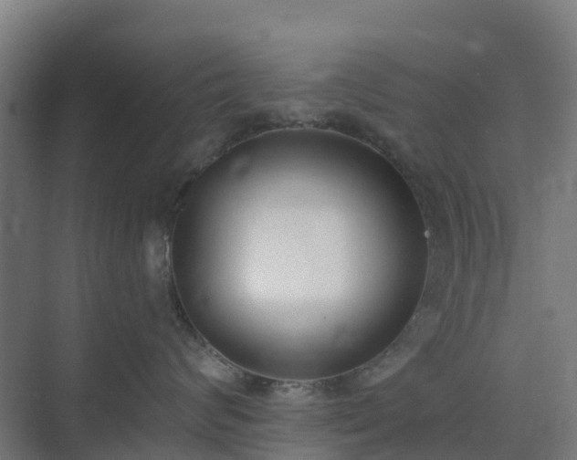 X0000075370624200609151704