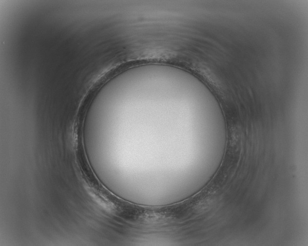 X0000075370632200609151703