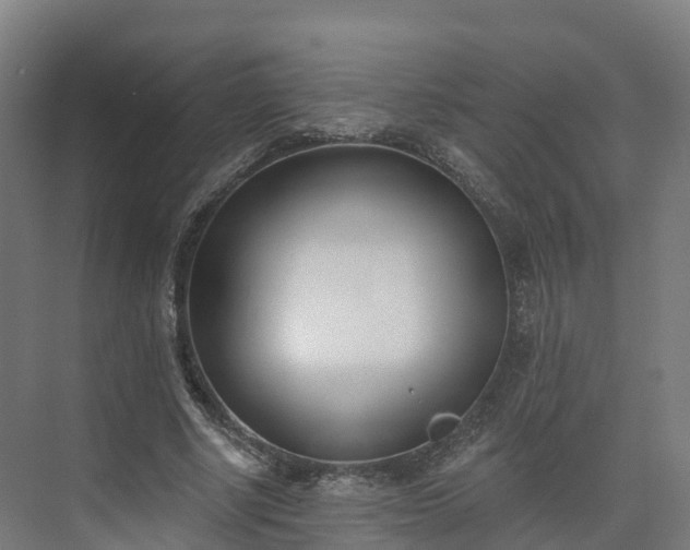X0000075370634200609151703