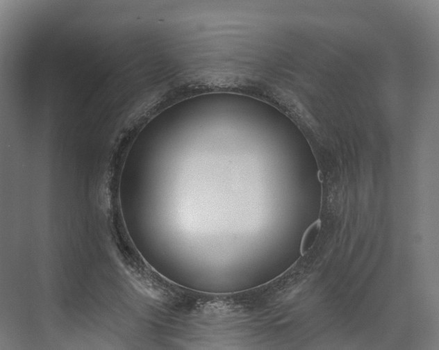 X0000075370635200609151703