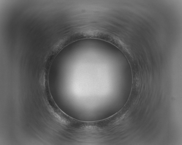 X0000075370637200609151703