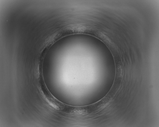 X0000075370638200609151703