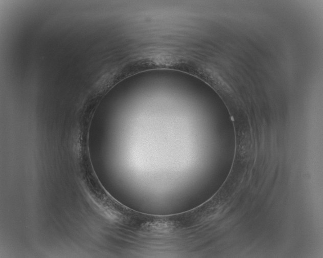 X0000075370639200609151703