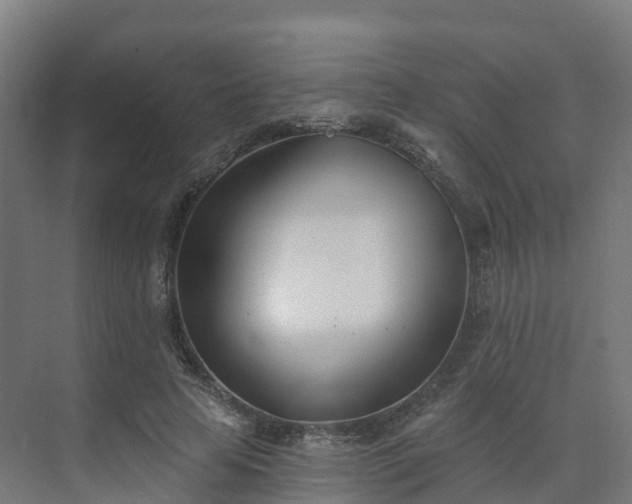 X0000075370641200609151704