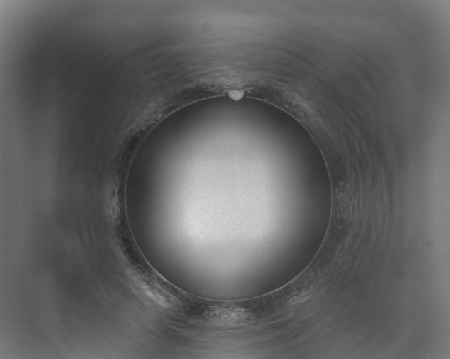 X0000075370642200609151704