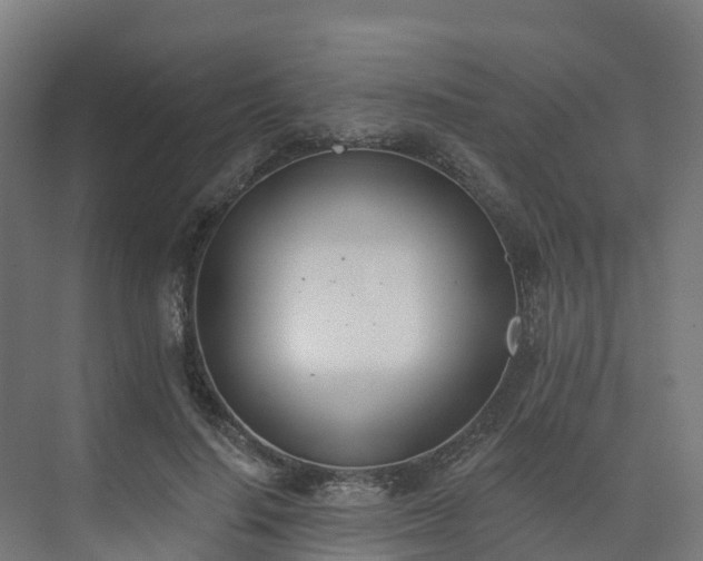 X0000075370644200609151704