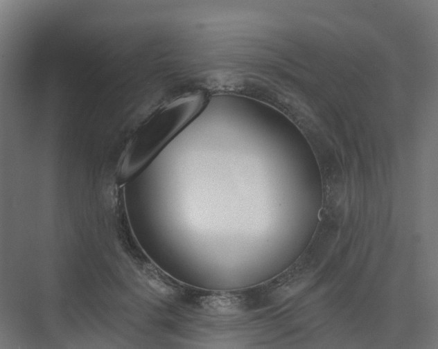X0000075370652200609151704