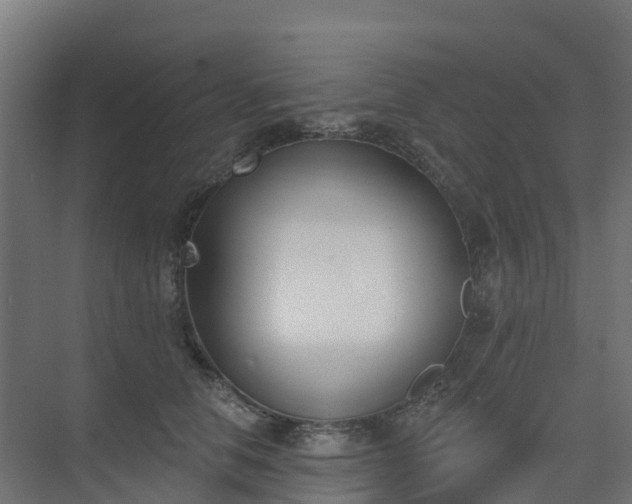 X0000075370658200609151704