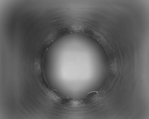 X0000075370662200609151704