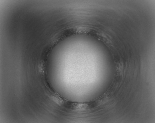 X0000075370663200609151704