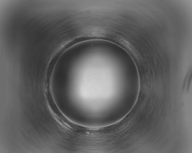 X0000075370677200609151703