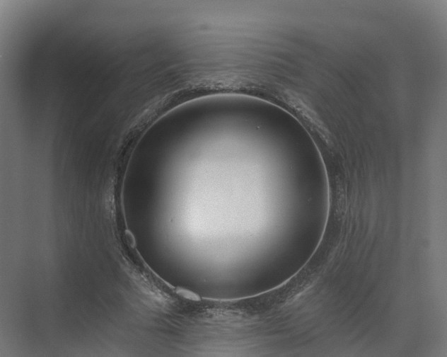 X0000075370681200609151703
