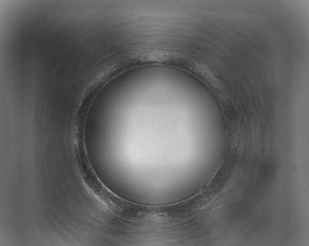 X0000075370683200609151703