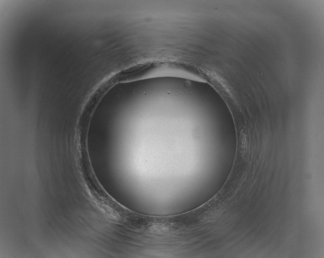 X0000075370684200609151703