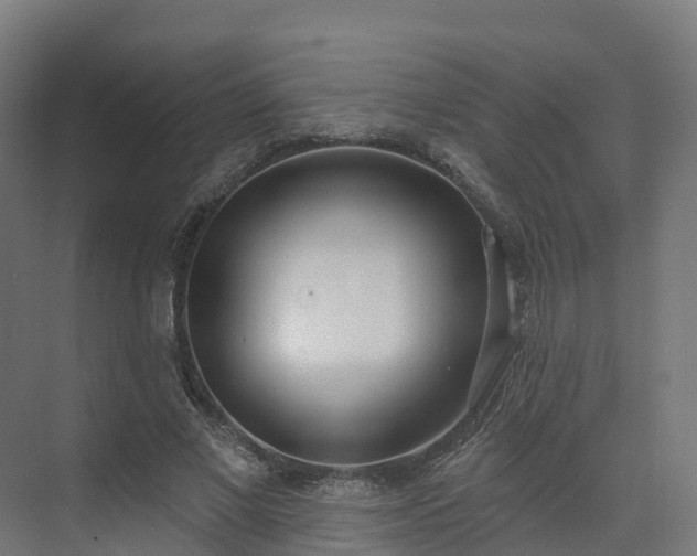 X0000075370685200609151703