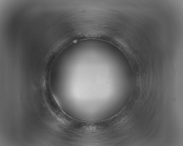 X0000075370687200609151703