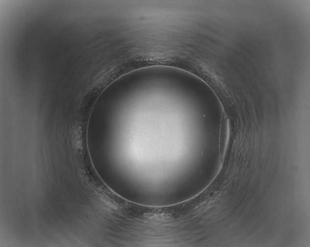 X0000075370689200609151703
