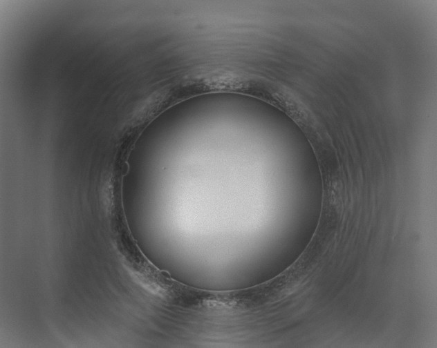 X0000075370690200609151703