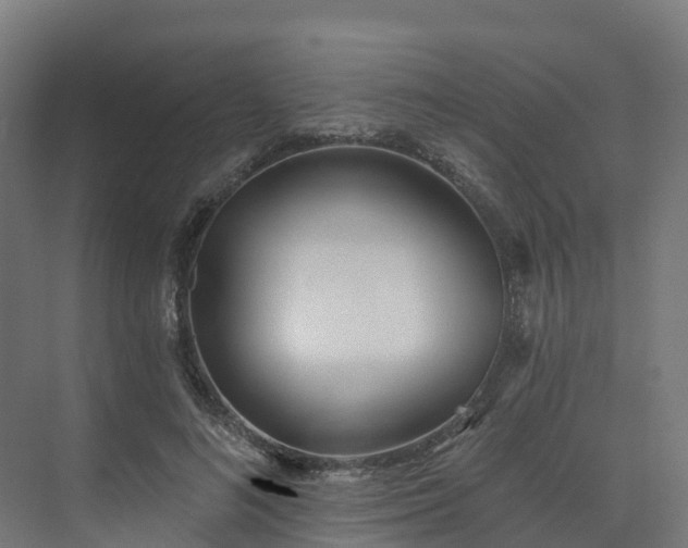 X0000075370692200609151703