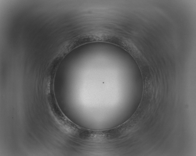 X0000075370694200609151703