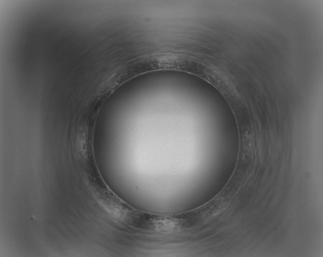 X0000075370698200609151703