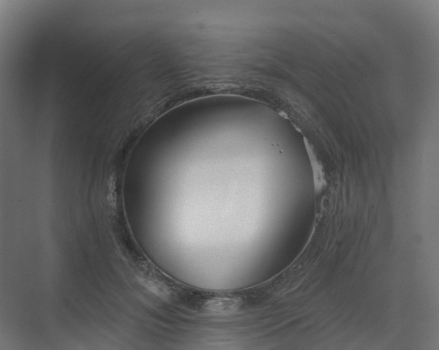 X0000075370700200609151703