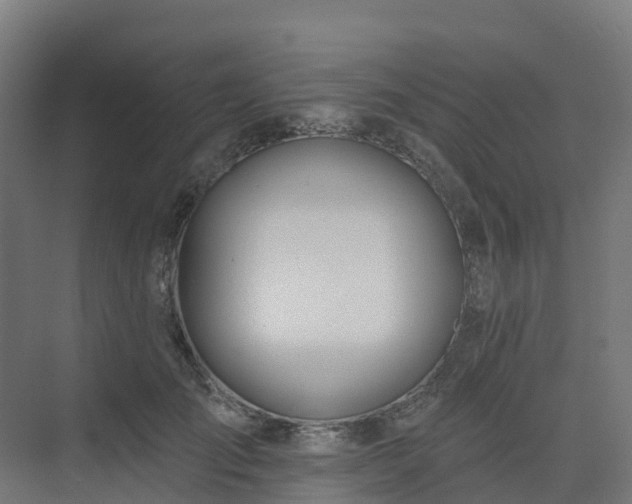 X0000075370701200609151703