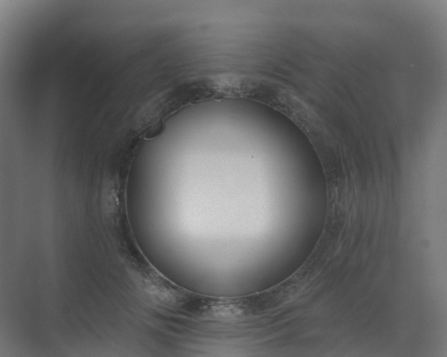 X0000075370702200609151703