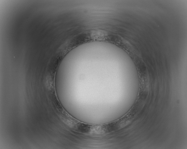 X0000075370705200609151703