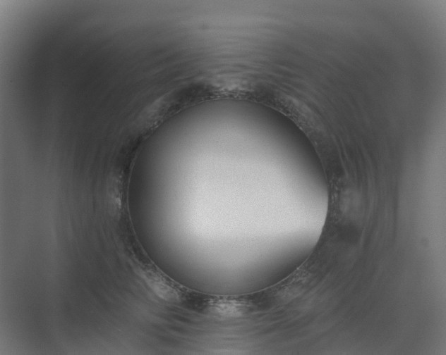 X0000075370710200609151703